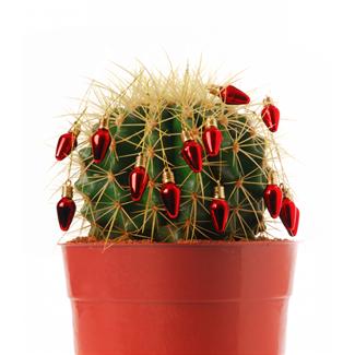 The Wishful Thinking Works 