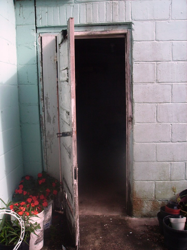 Patrice Koerper wishful thinking works life coaching