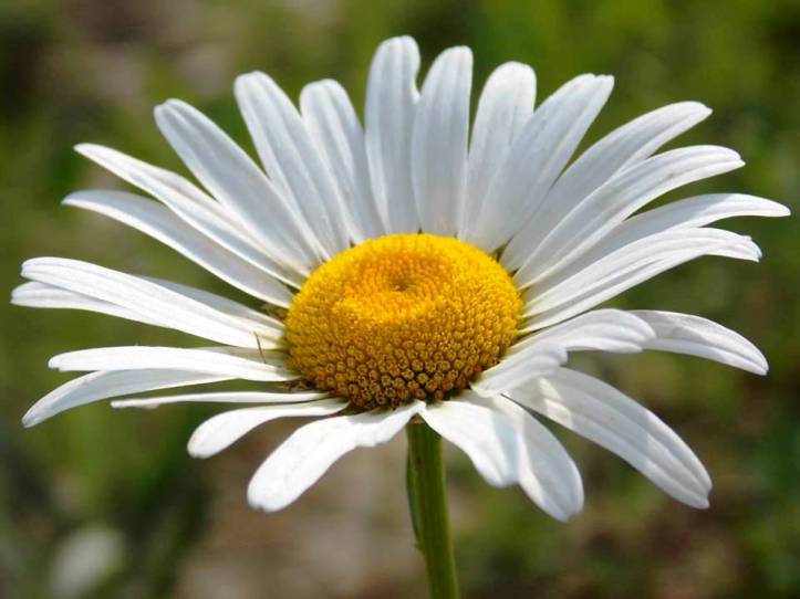 Photo courtesy of Josie Horn.