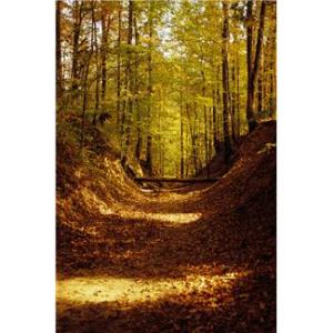 Patrice Koerper  Life Coach Wishful Thinking Mindfulness