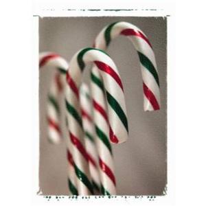 Patrice Koerper Life Coach Wishful Thinking Works (2)