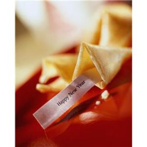 Patrice Koerper  Life Coach Wishful New Year 2014