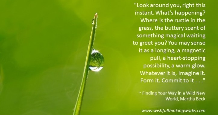 Martha Beck Quote Grass