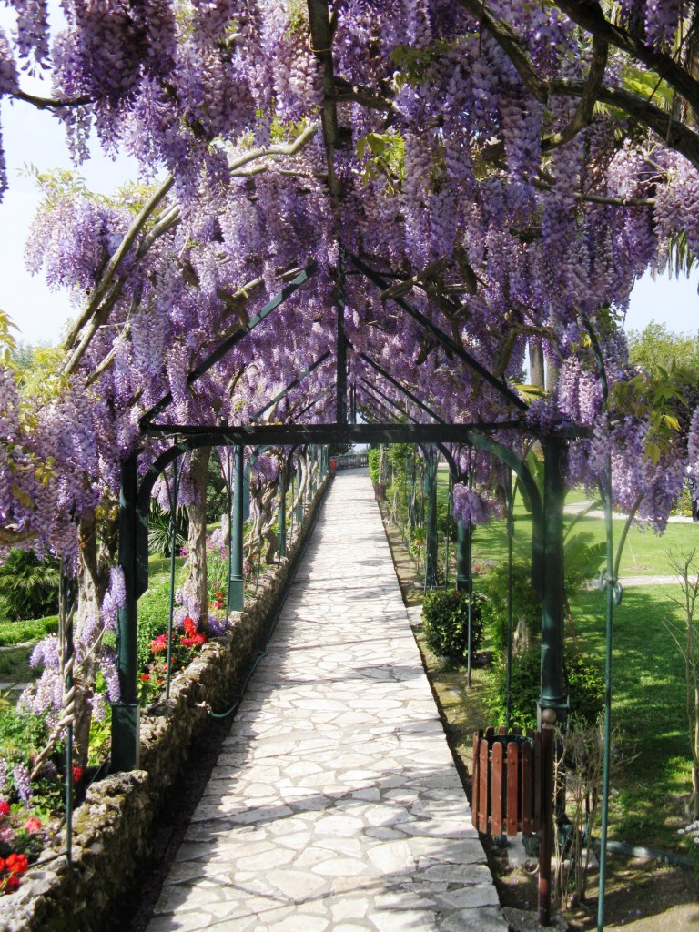 This image has an empty alt attribute; its file name is img_1059-1.jpg